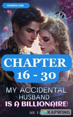 MY ACCIDENTAL HUSBAND IS A BILLIONAIRE CHAPTER 16-30