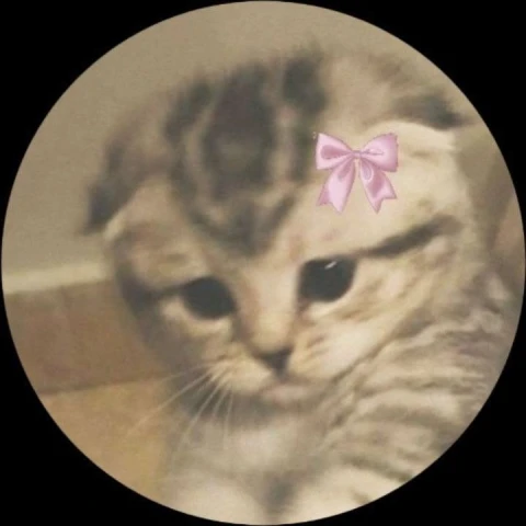 King of Greed. Book 3